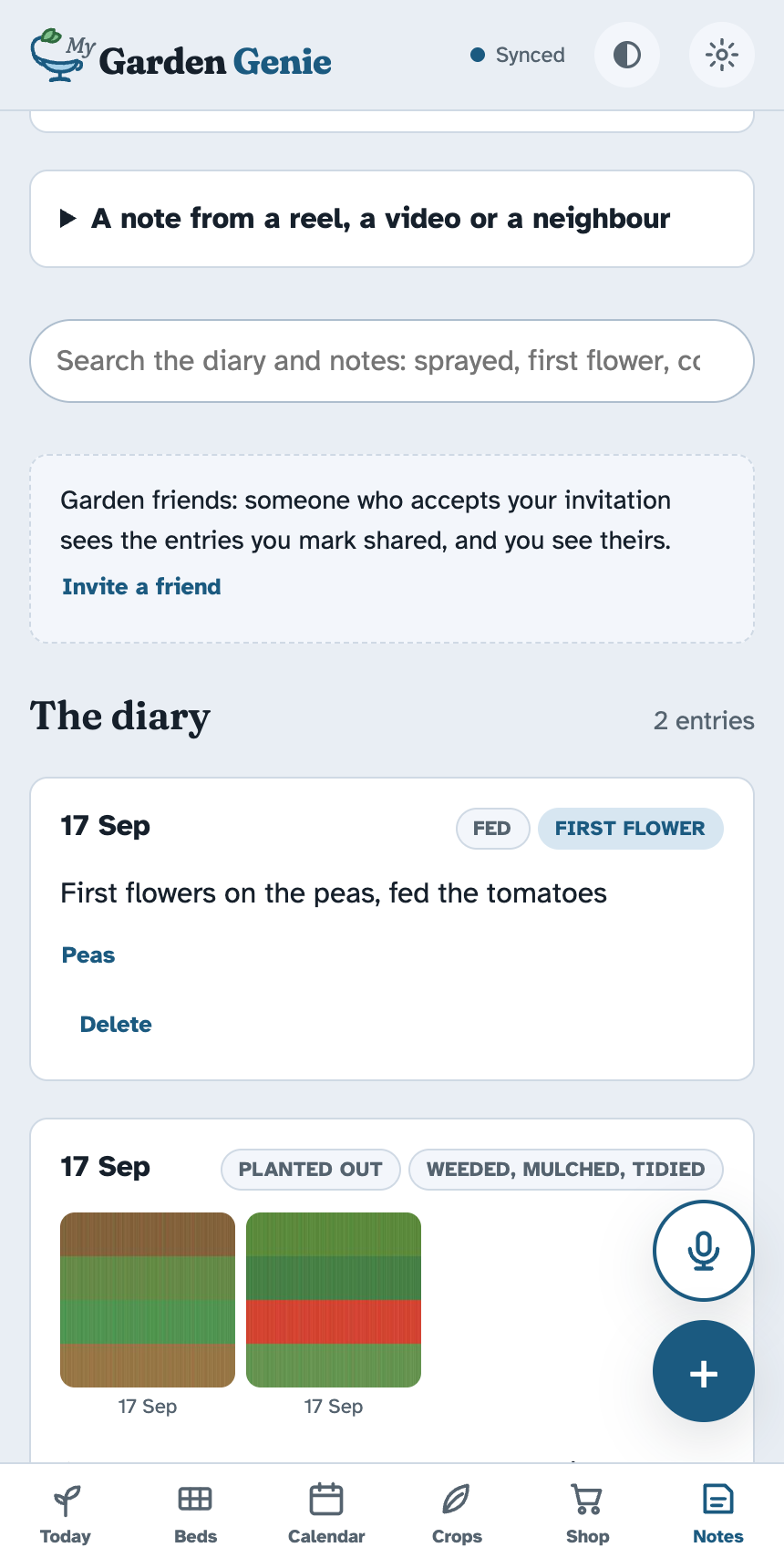 The diary